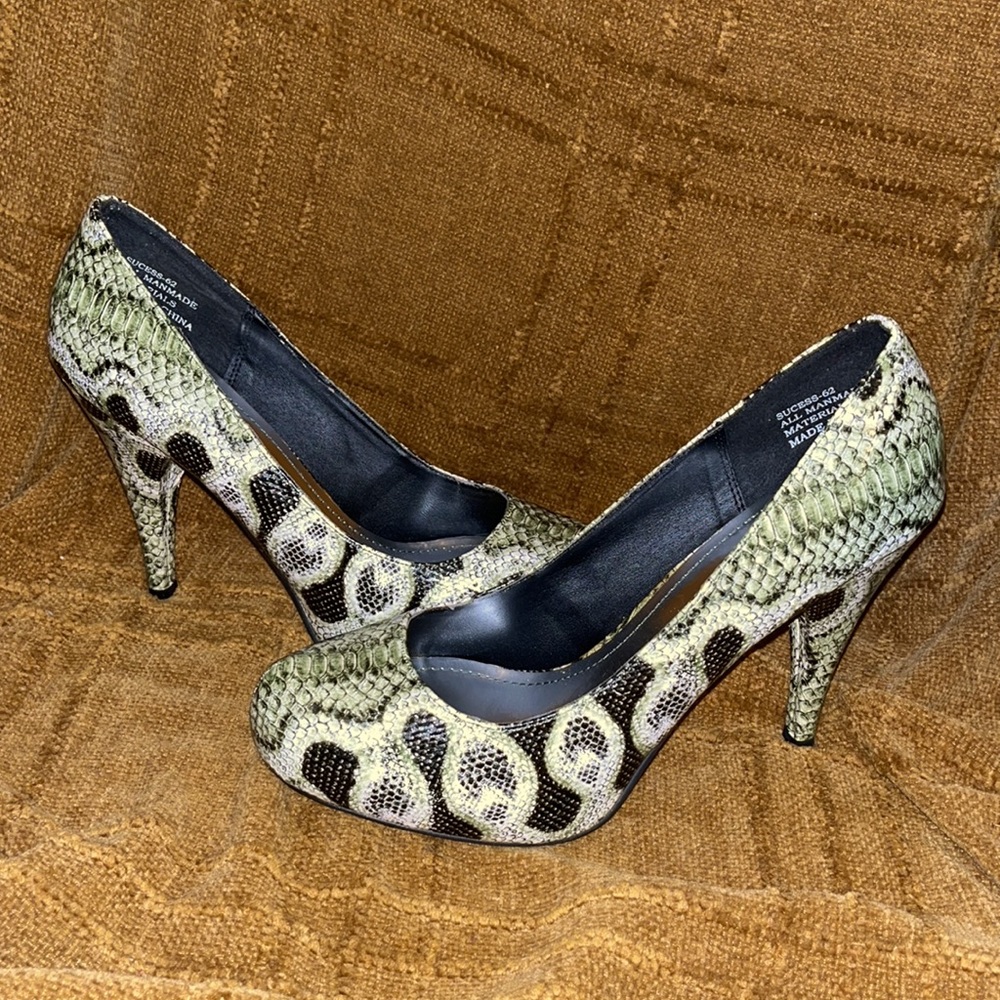 Reptile - Picture 3 of 5